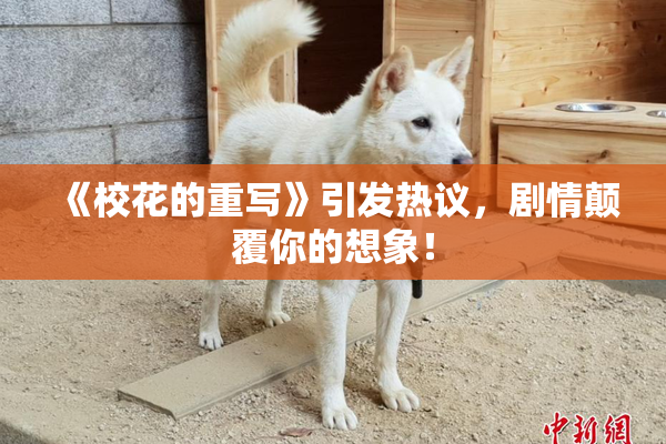 《校花的重写》引发热议，剧情颠覆你的想象！