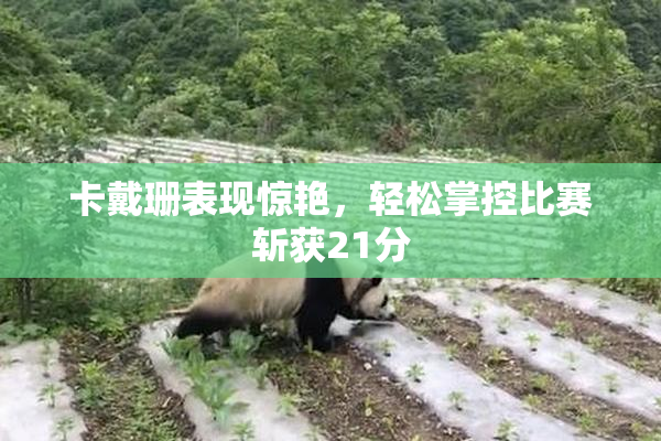 卡戴珊表现惊艳，轻松掌控比赛斩获21分