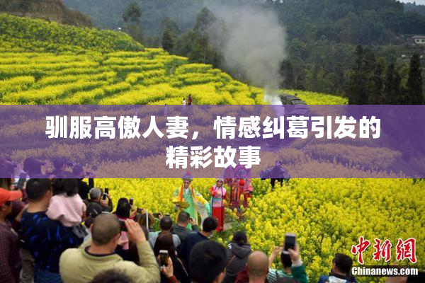 驯服高傲人妻，情感纠葛引发的精彩故事