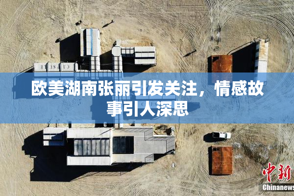 欧美湖南张丽引发关注，情感故事引人深思