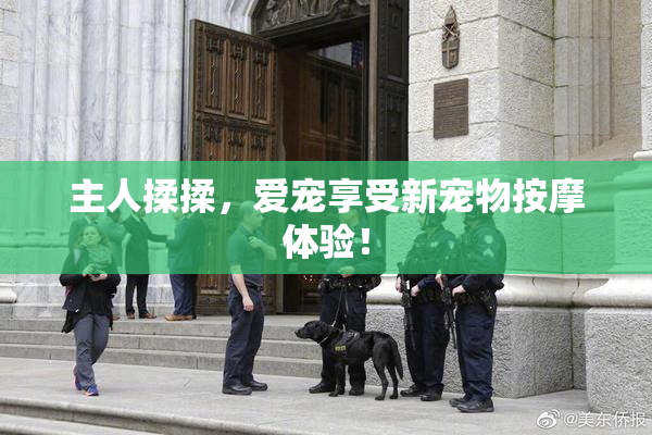 主人揉揉，爱宠享受新宠物按摩体验！