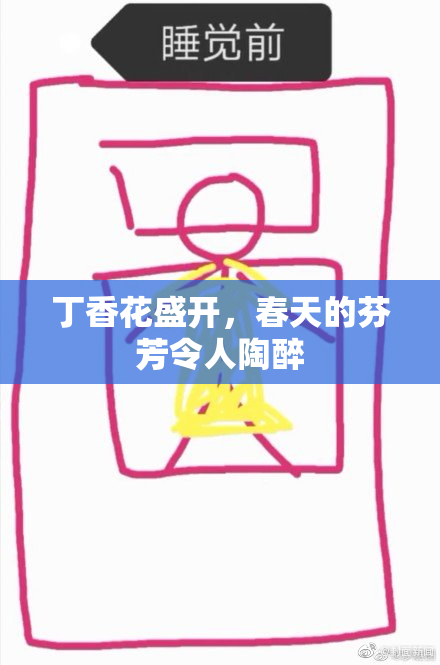 丁香花盛开，春天的芬芳令人陶醉