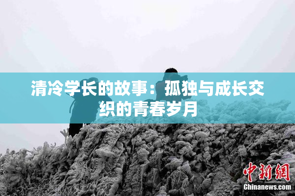 清冷学长的故事：孤独与成长交织的青春岁月