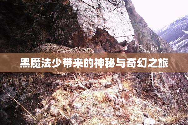 黑魔法少带来的神秘与奇幻之旅