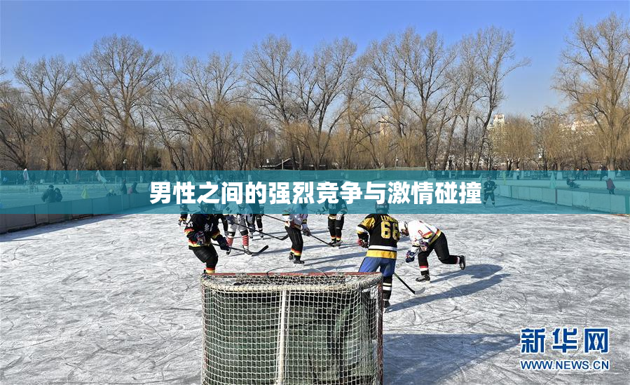 男性之间的强烈竞争与激情碰撞