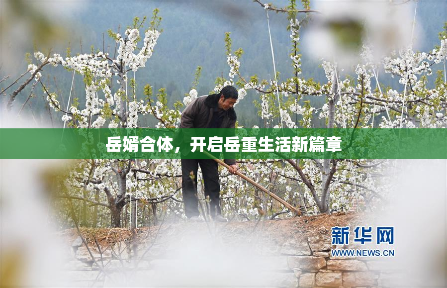 岳婿合体，开启岳重生活新篇章