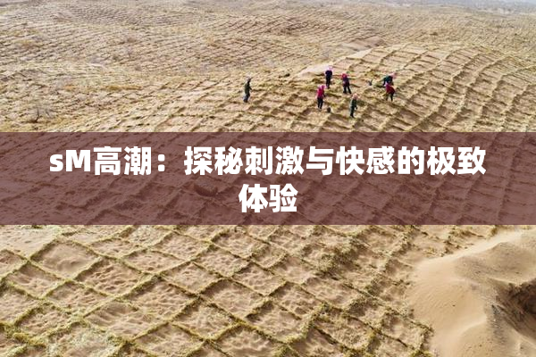 sM高潮：探秘刺激与快感的极致体验