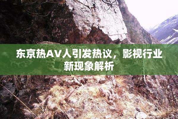 东京热AV人引发热议，影视行业新现象解析
