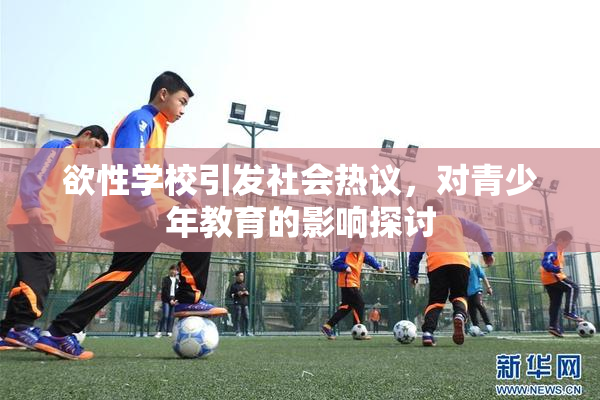 欲性学校引发社会热议，对青少年教育的影响探讨