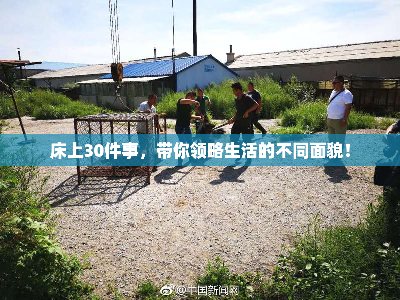 床上30件事，带你领略生活的不同面貌！