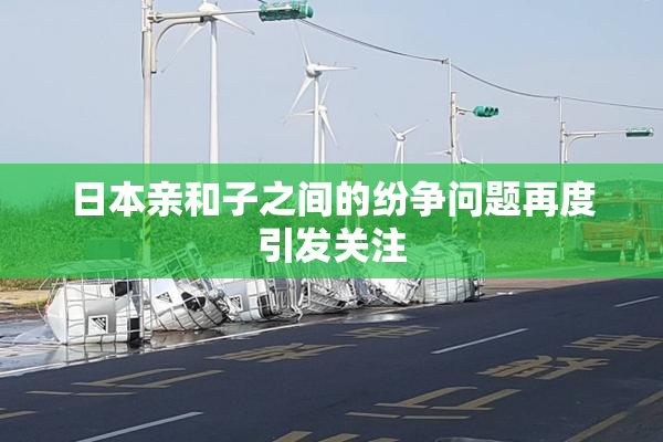 日本亲和子之间的纷争问题再度引发关注