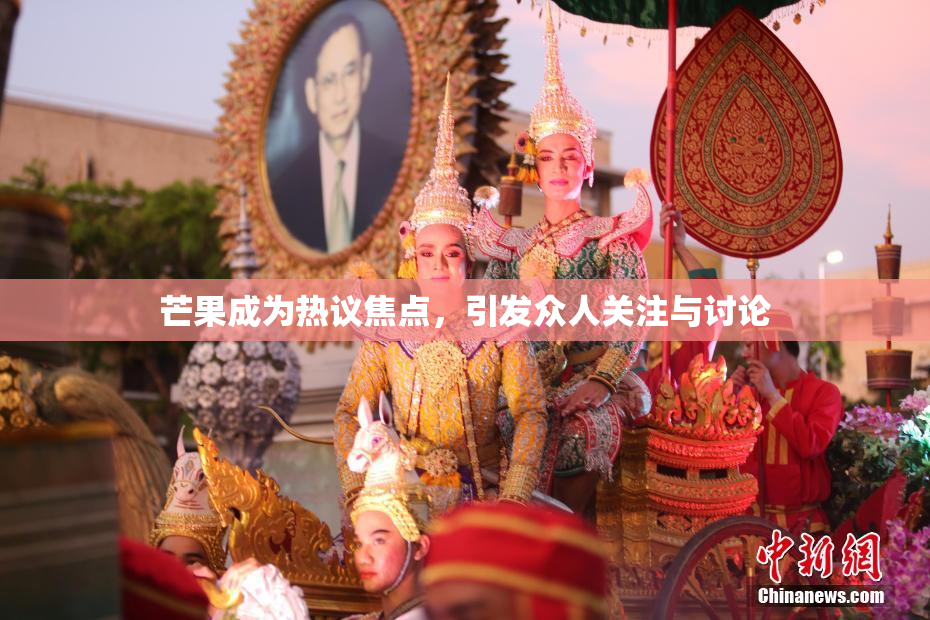 芒果成为热议焦点，引发众人关注与讨论