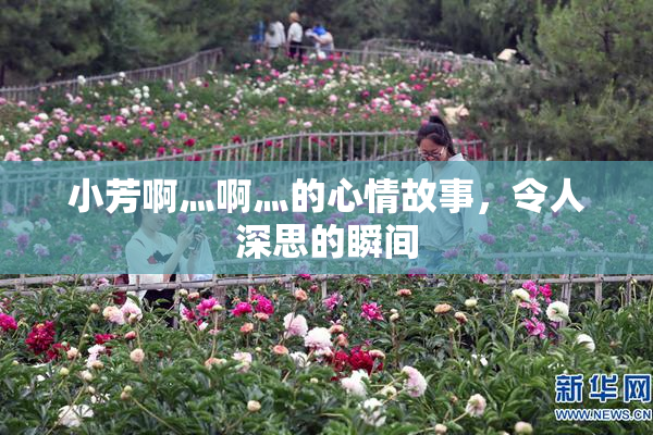 小芳啊灬啊灬的心情故事，令人深思的瞬间
