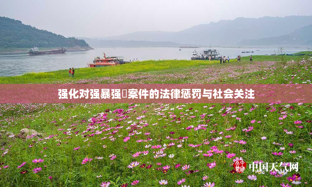 强化对强暴强姦案件的法律惩罚与社会关注