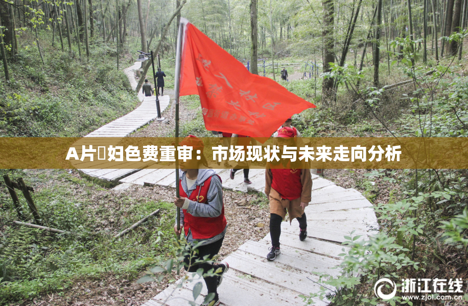 A片婬妇色费重审：市场现状与未来走向分析