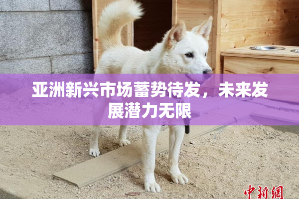 亚洲新兴市场蓄势待发，未来发展潜力无限