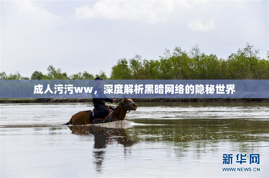 成人污污ww，深度解析黑暗网络的隐秘世界
