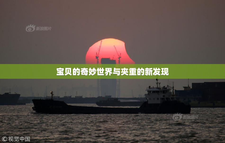 宝贝的奇妙世界与夹重的新发现