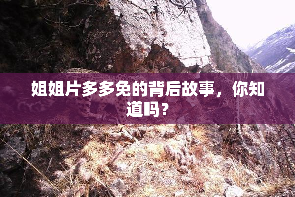 姐姐片多多免的背后故事，你知道吗？