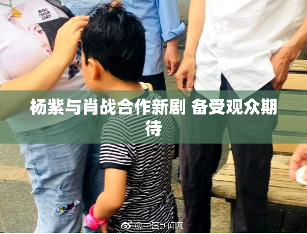 杨紫与肖战合作新剧 备受观众期待