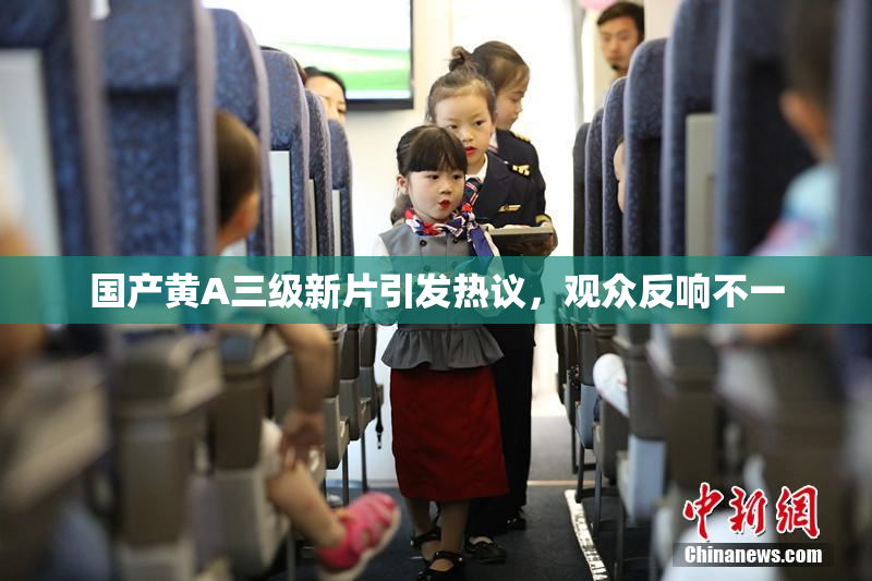 国产黄A三级新片引发热议，观众反响不一