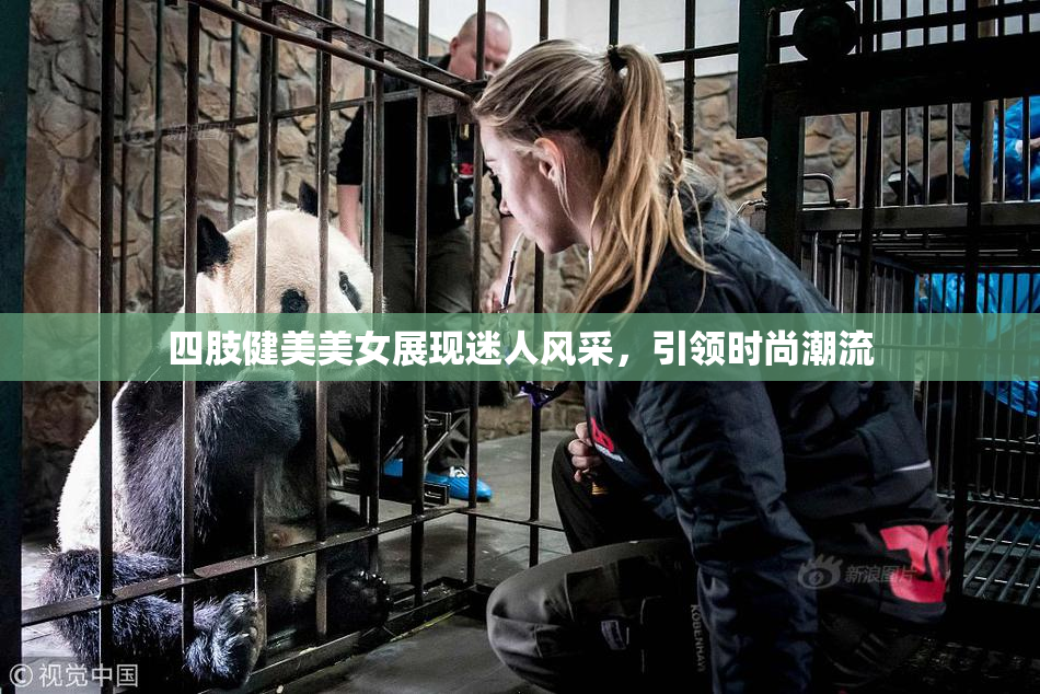 四肢健美美女展现迷人风采，引领时尚潮流