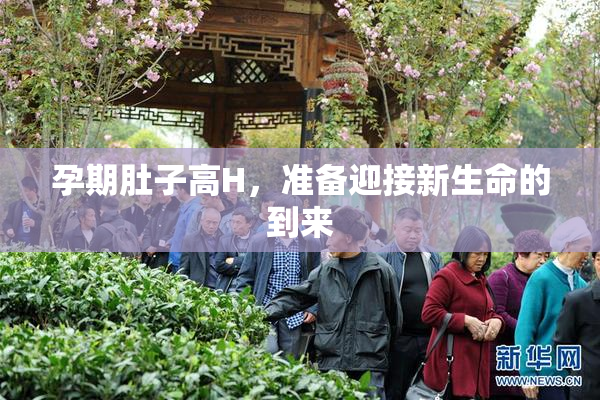 孕期肚子高H，准备迎接新生命的到来