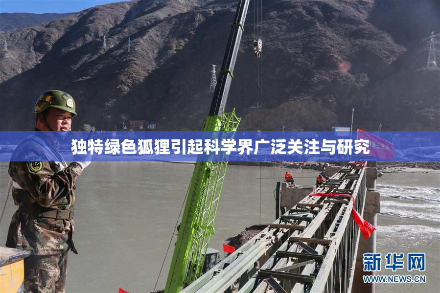 独特绿色狐狸引起科学界广泛关注与研究