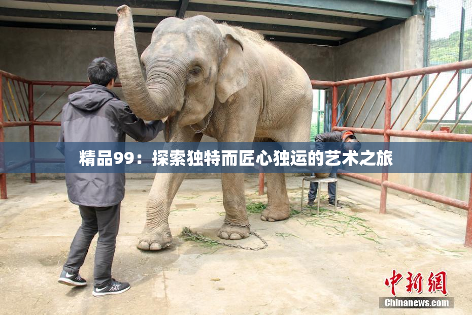 精品99：探索独特而匠心独运的艺术之旅