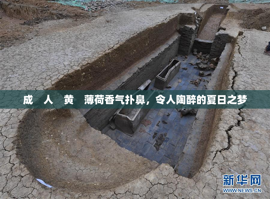 成　人　黄　薄荷香气扑鼻，令人陶醉的夏日之梦