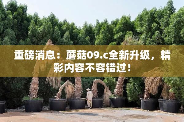 重磅消息：蘑菇09.c全新升级，精彩内容不容错过！