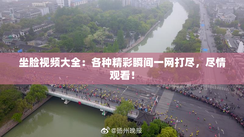 坐脸视频大全：各种精彩瞬间一网打尽，尽情观看！