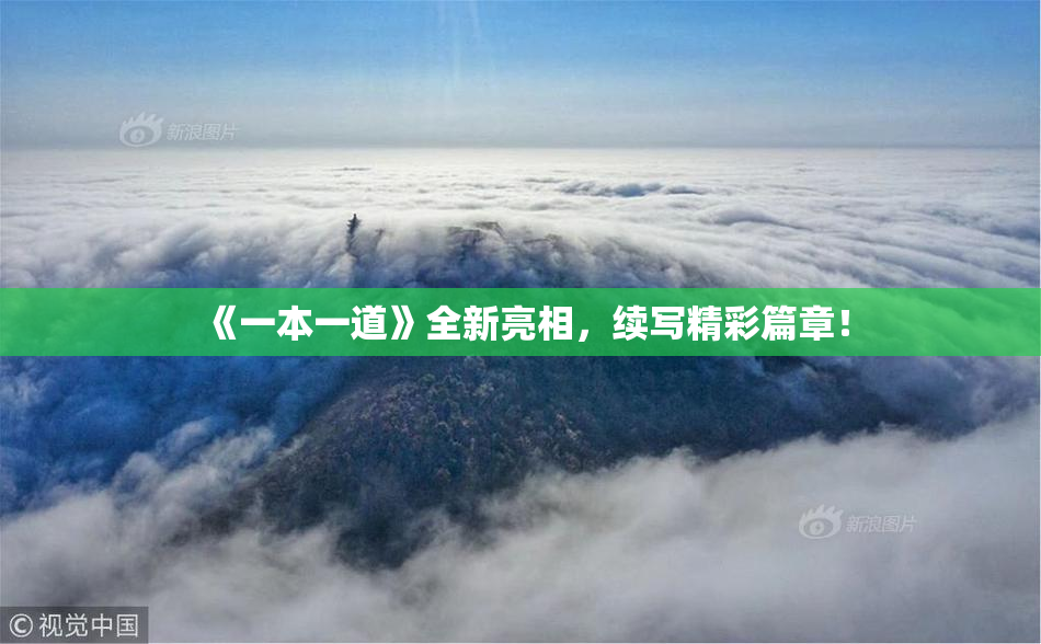 《一本一道》全新亮相，续写精彩篇章！