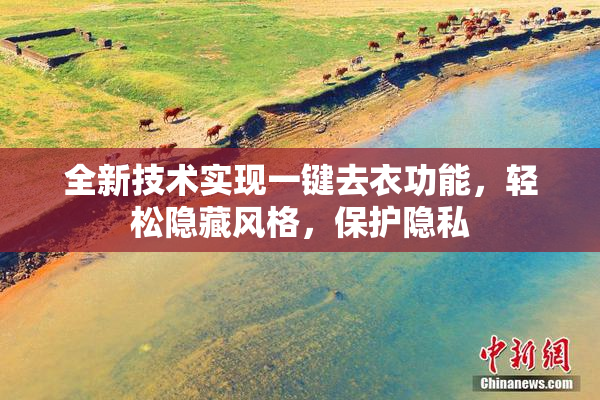 全新技术实现一键去衣功能，轻松隐藏风格，保护隐私
