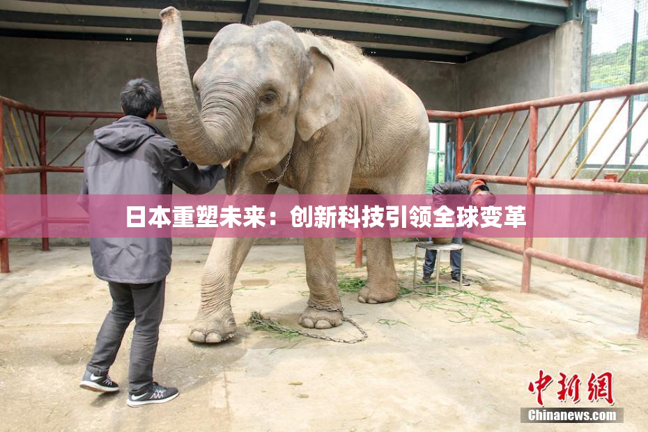 日本重塑未来：创新科技引领全球变革