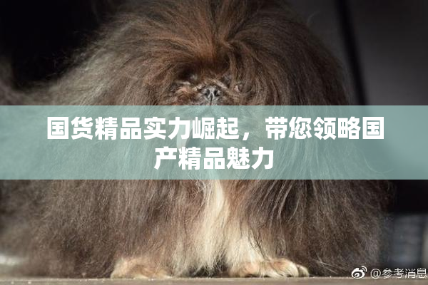 国货精品实力崛起，带您领略国产精品魅力