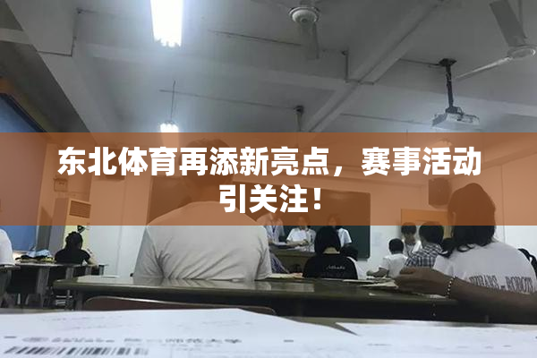 东北体育再添新亮点，赛事活动引关注！