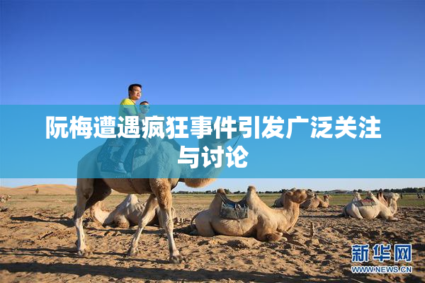阮梅遭遇疯狂事件引发广泛关注与讨论