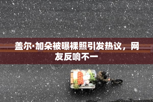 盖尔·加朵被曝裸照引发热议，网友反响不一