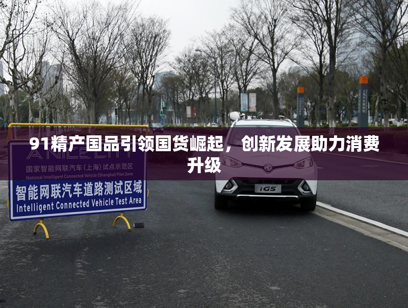 91精产国品引领国货崛起，创新发展助力消费升级