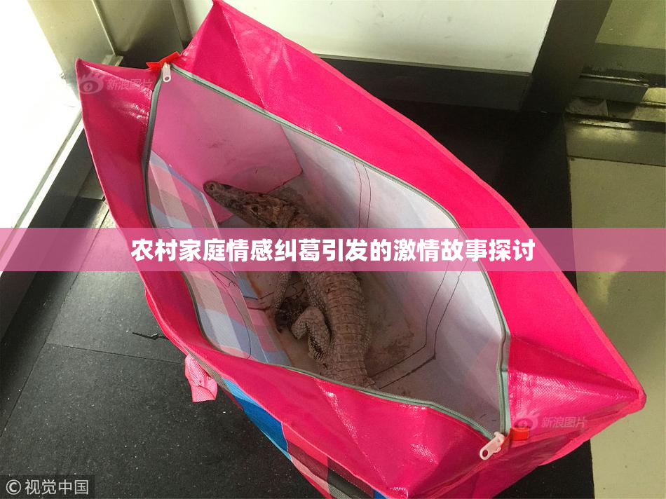 农村家庭情感纠葛引发的激情故事探讨