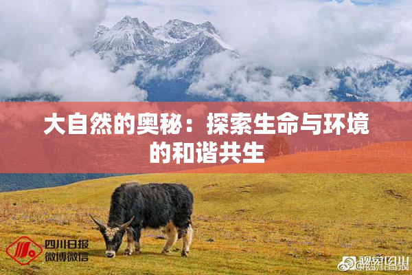大自然的奥秘：探索生命与环境的和谐共生