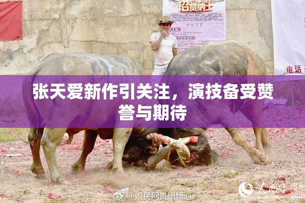 张天爱新作引关注，演技备受赞誉与期待