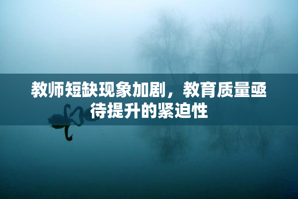 教师短缺现象加剧，教育质量亟待提升的紧迫性