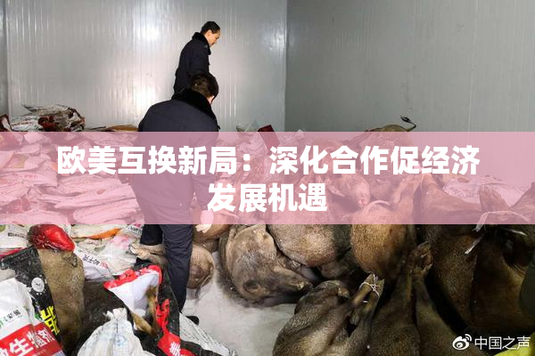 欧美互换新局：深化合作促经济发展机遇