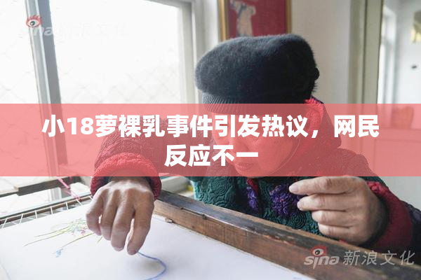 小18萝裸乳事件引发热议，网民反应不一