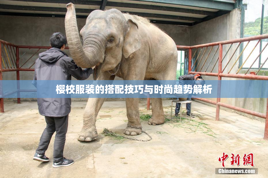 樱校服装的搭配技巧与时尚趋势解析