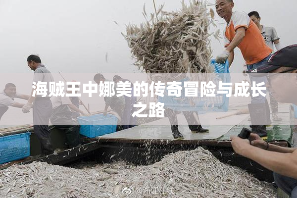 海贼王中娜美的传奇冒险与成长之路