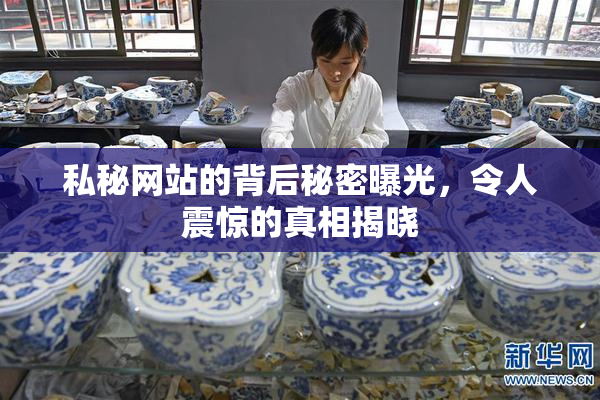 私秘网站的背后秘密曝光，令人震惊的真相揭晓