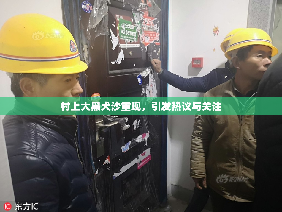 村上大黑犬沙重现，引发热议与关注